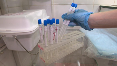 Еще 232 случая коронавируса выявили в Петербурге