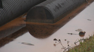 Более миллиарда рублей выделено из федерального бюджета на проект рекультивации полигона «Красный Бор»