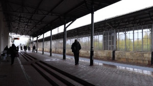 На вокзале станции Царское Село пассажирам напомнили о необходимости соблюдения санитарно-гигиенических правил