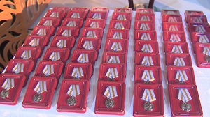 Вручение медалей «75 лет Победы в Великой Отечественной войне» в Выборгском районе