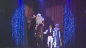 В цирке в Автово представят новогоднюю программу с участием пингвинов и кенгуру