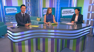 Современный нотариат Северной столицы. Консультация нотариуса