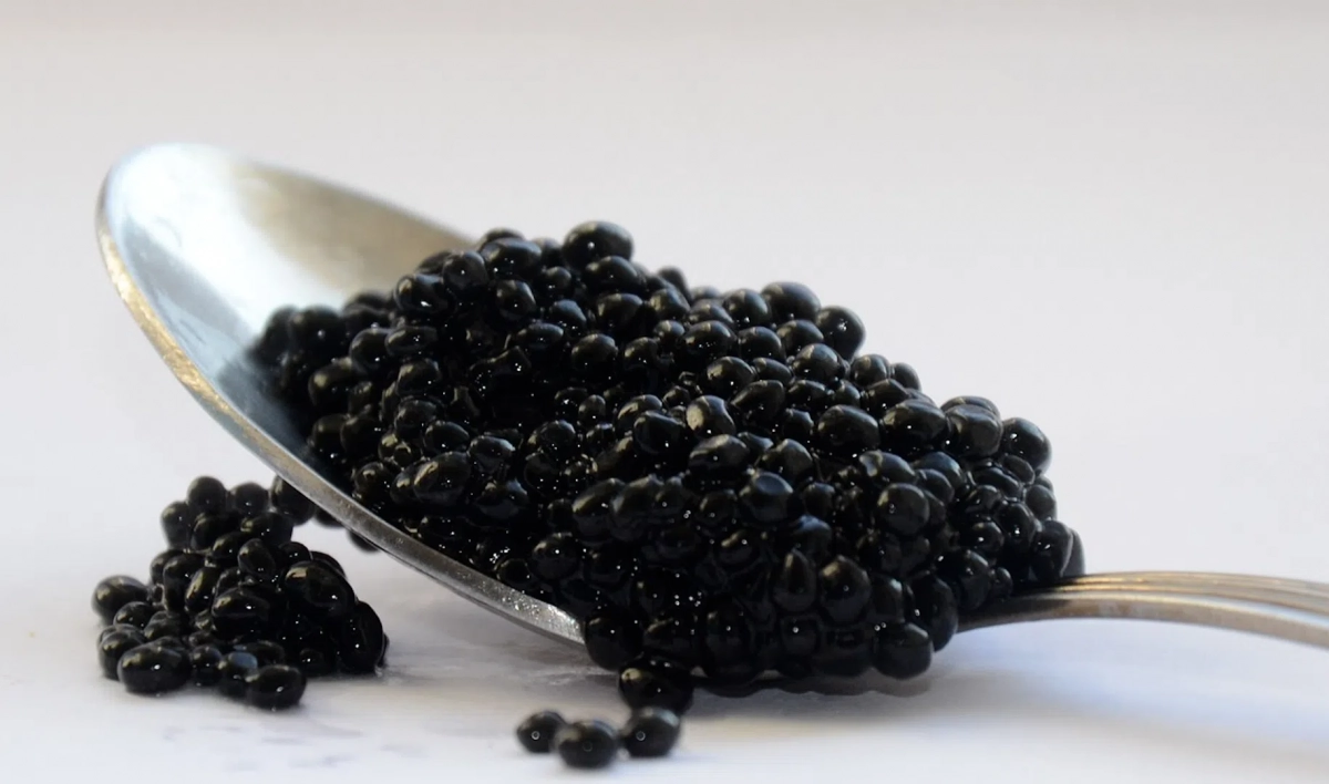 Как отличить черную икру. Caviar.