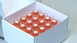 Достижения особой экономической зоны Петербурга