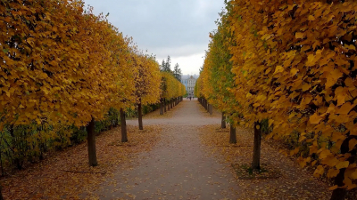 Царскосельские парки и музей будут открыты в нерабочие дни