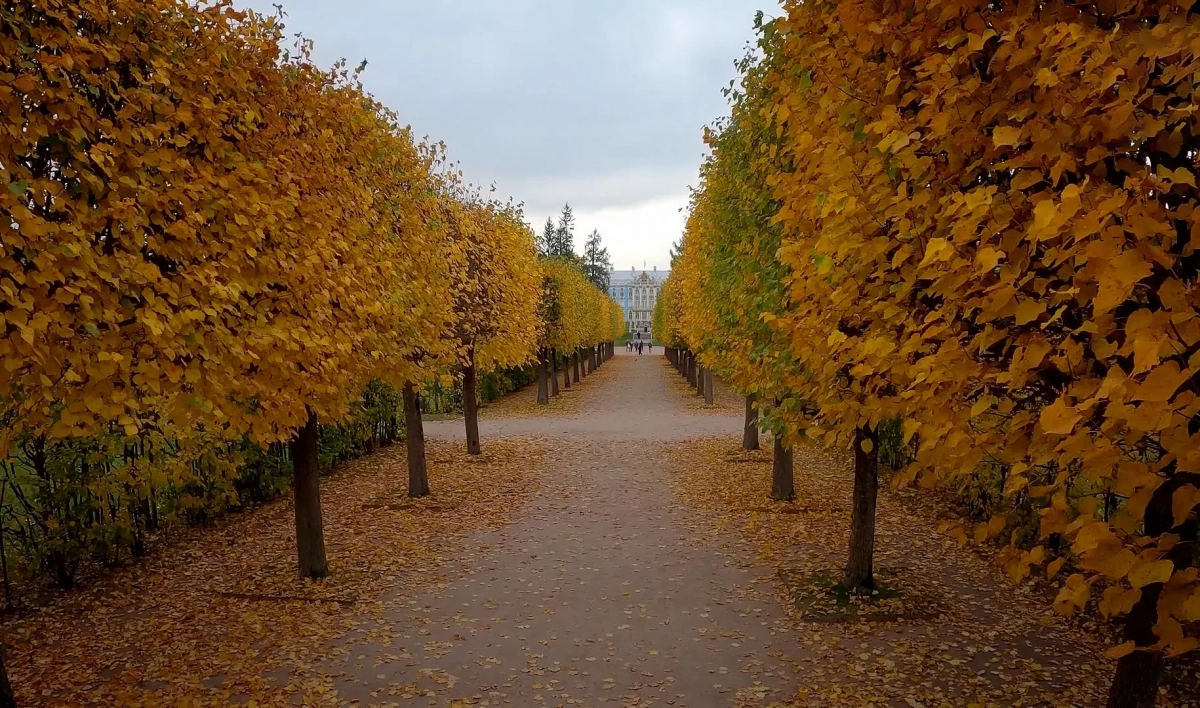 В день рождения императрицы всех Елизавет пустят в музеи «Царского Села» бесплатно - tvspb.ru