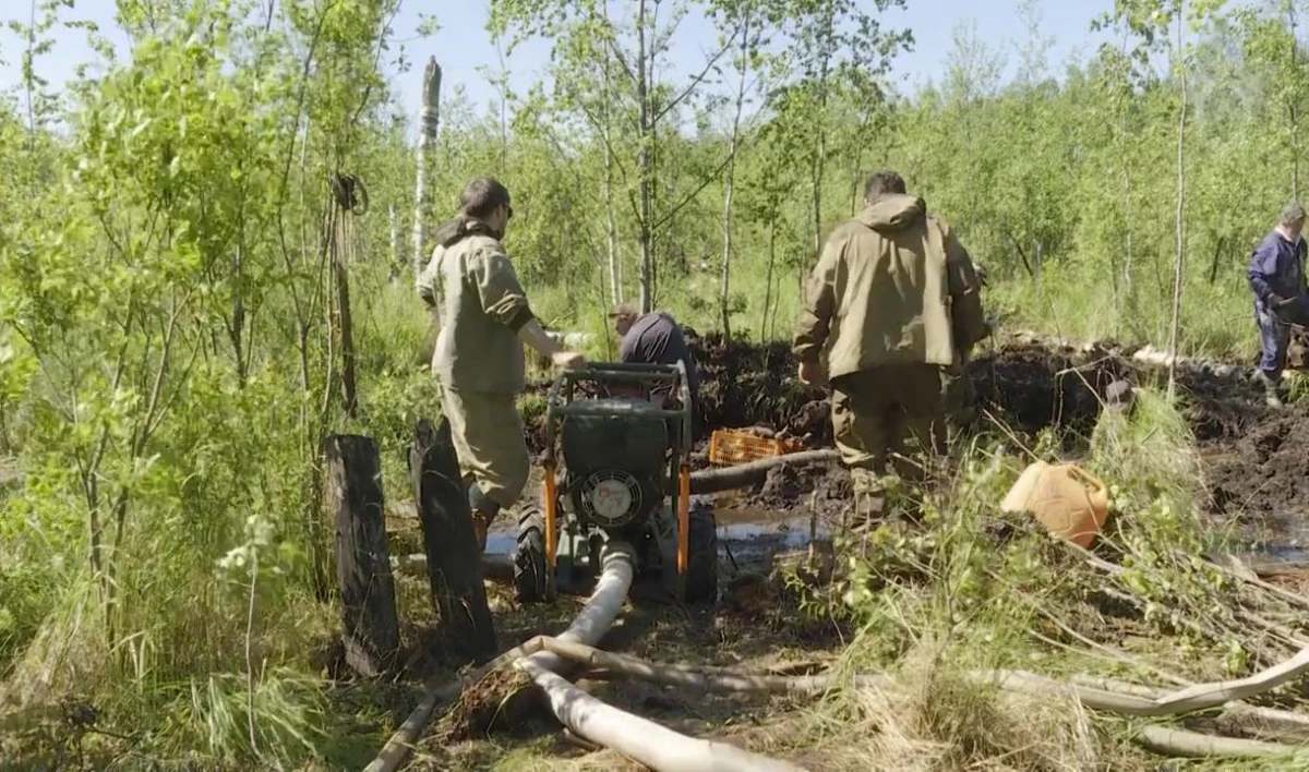 В Ленобласти обнаружили останки советского летчика и части истребителя «Миг-3» - tvspb.ru