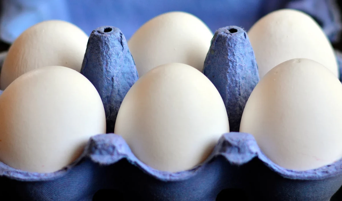 Более 40 млн куриных яиц отправили с начала года из Ленинградской области в ОАЭ - tvspb.ru