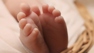 В Петербурге родились три двойни