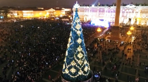 Стартовало голосование за новогоднюю елку для Дворцовой площади