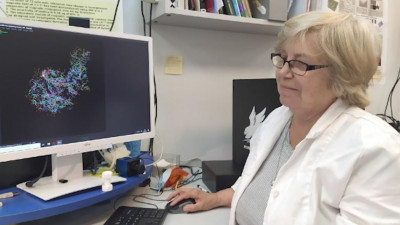 Ученые ЛЭТИ заявили, что лечить и выявлять коронавирус могут пептиды