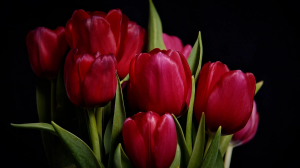 Шедевры Эрмитажа: история русской культуры времён Екатерины II