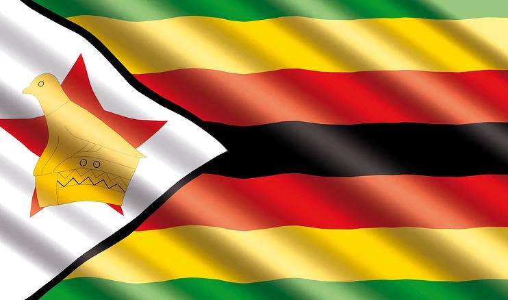 Президент Зимбабве прилетел в Москву с официальным визитом - tvspb.ru