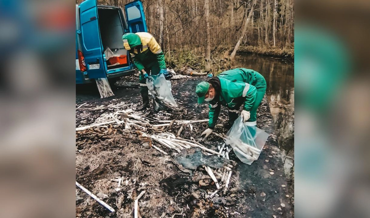Более 50 кг ртутьсодержащих отходов за неделю вывезла аварийная служба из Петербурга - tvspb.ru