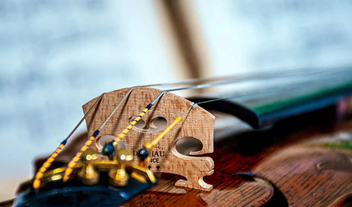 К юбилею музыкальной школы Консерватории в Петербурге откроется фестиваль талантов - tvspb.ru