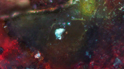 Петербургские ученые обнаружили на берегах Мертвого моря вещества, из которых могла возникнуть жизнь на Земле