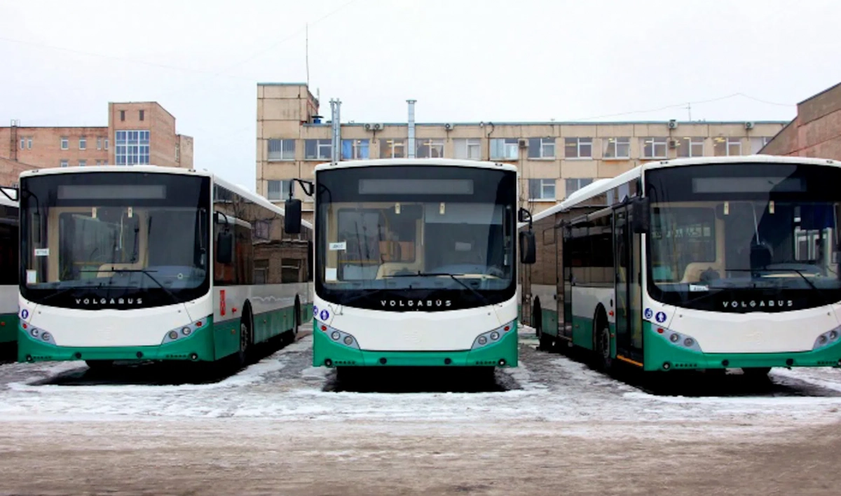 Петербуржцам разъяснили введение QR-кодов в общественном транспорте - tvspb.ru