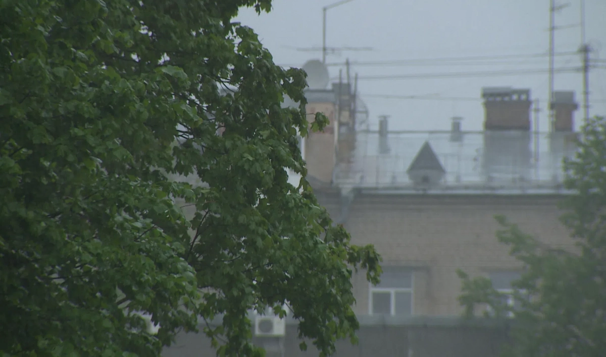 Неделя в Ленобласти начнется с дождей и гроз - tvspb.ru