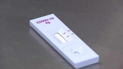 За сутки в Петербурге тест на COVID-19 сдали более 34 тысяч жителей