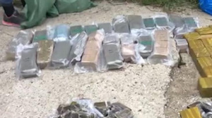 Сотрудники ФСБ ликвидировали преступную группировку и изъяли 440 кг наркотиков