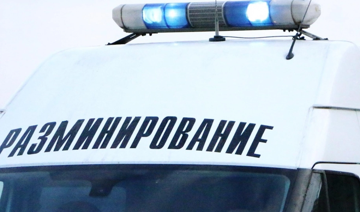 Жители Сергиево нашли гранату без предохранительной чеки - tvspb.ru