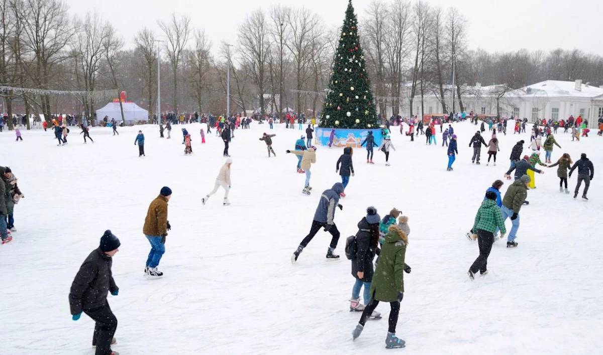 На Елагином острове откроется искусственный каток - tvspb.ru