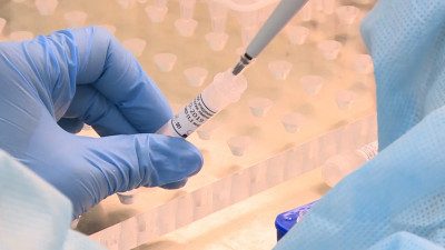 Еще более 31 тысячи человек обследовали на коронавирус в Петербурге