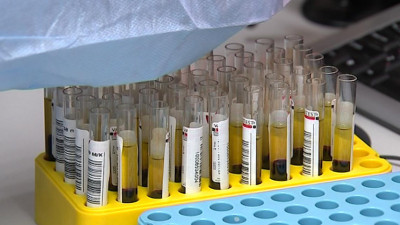 В Петербурге тест на COVID сдали почти 23 тысячи человек