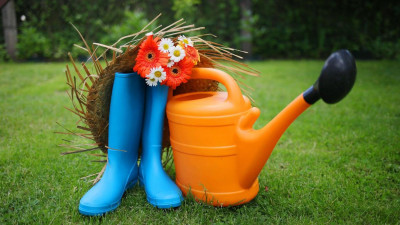 Эксперты рассказали, как выбирать земельный участок, чтобы избежать незапланированных трат