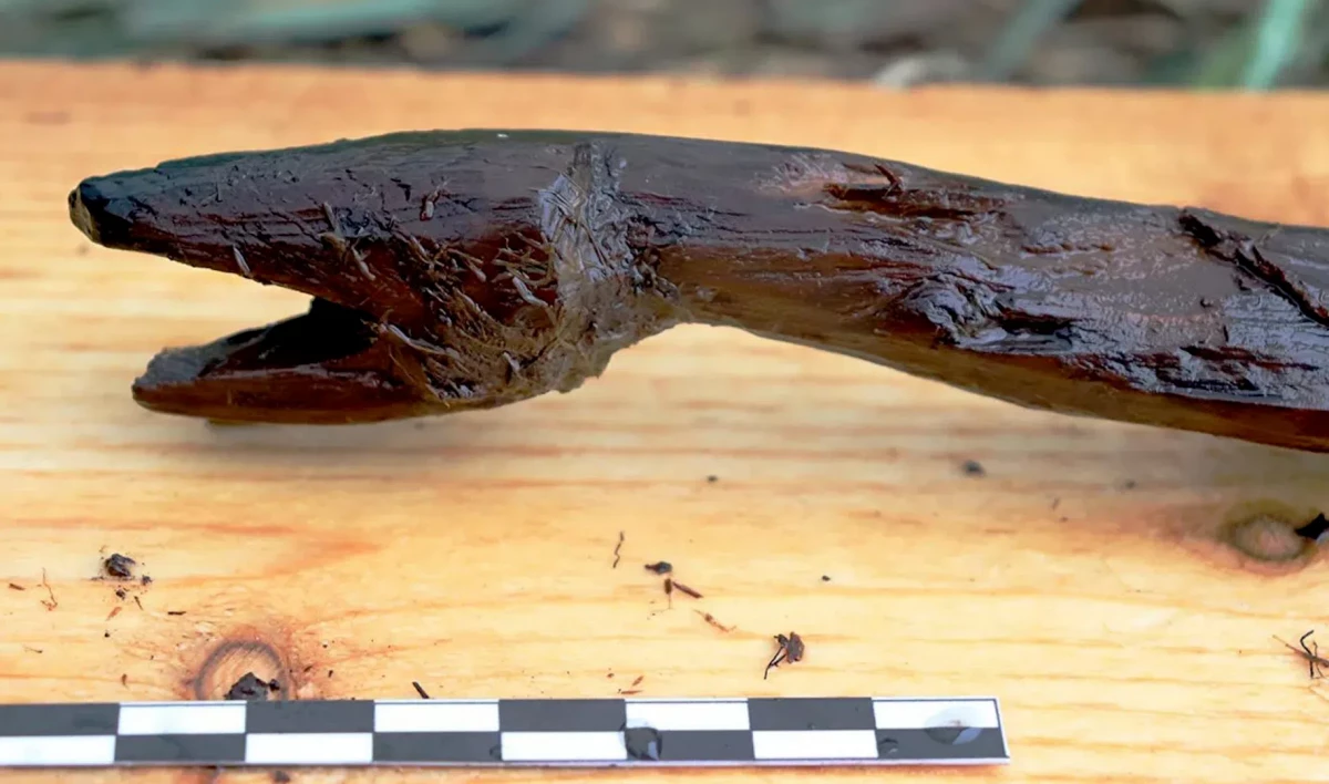 В Финляндии нашли шаманский посох возрастом 4400 лет - tvspb.ru