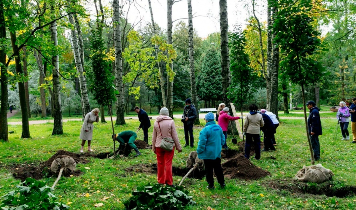 В Петербурге выбрали 21 участок, где горожане вместе с садовниками смогут посадить деревья - tvspb.ru