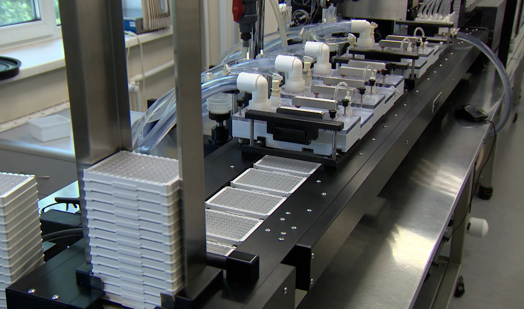 Экспорт спб. Петербургские предприятия.