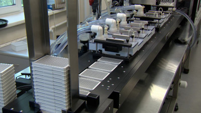 Как петербургским предприятиям помогают выйти на рынки экспорта