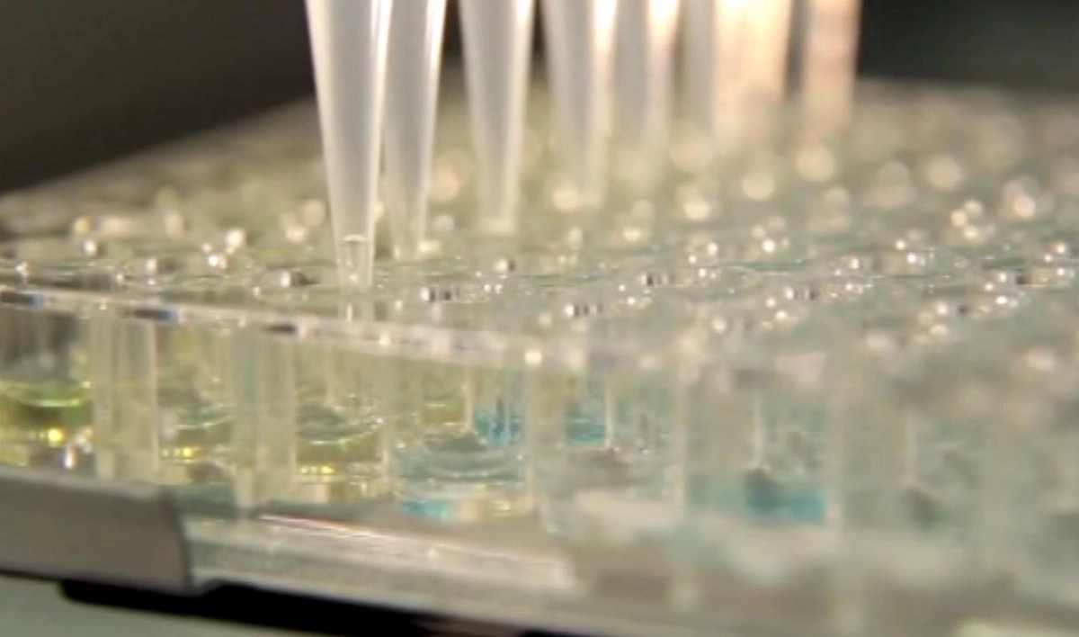 На регистрации в России находятся пять вакцин от коронавируса - tvspb.ru