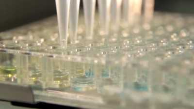 На регистрации в России находятся пять вакцин от коронавируса