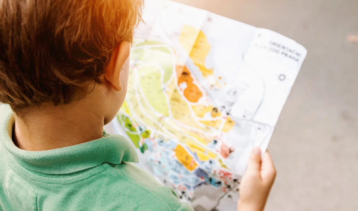 Правительство выделит 5 млрд рублей на детский туристический кешбэк - tvspb.ru