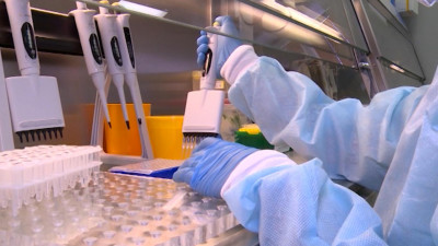 Вакцину против нового штамма COVID-19 могут создать за два месяца