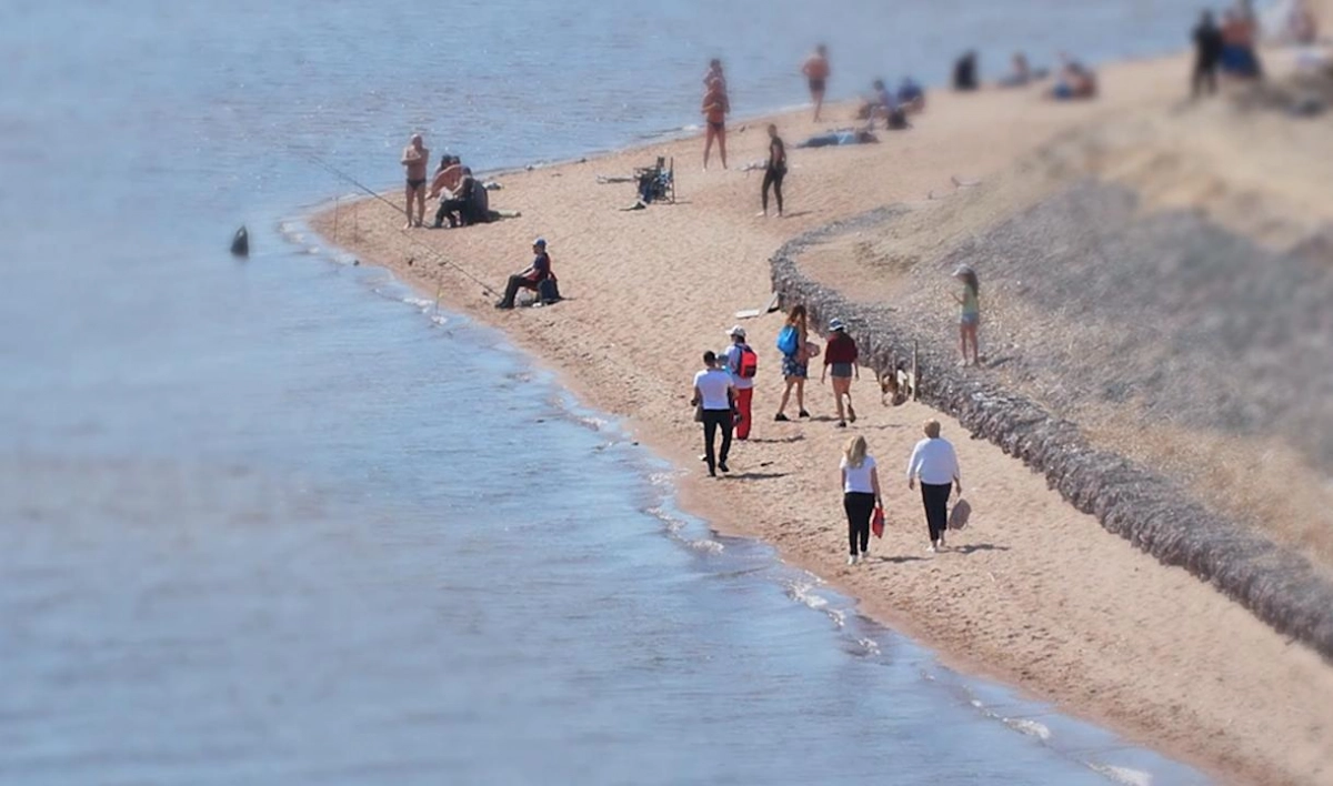 В выходные полиция будет ловить шашлычников на побережье Финского залива - tvspb.ru