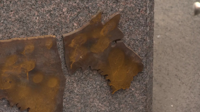 В Петербурге открыли памятник любимой собаке Сергея Довлатова Глаше