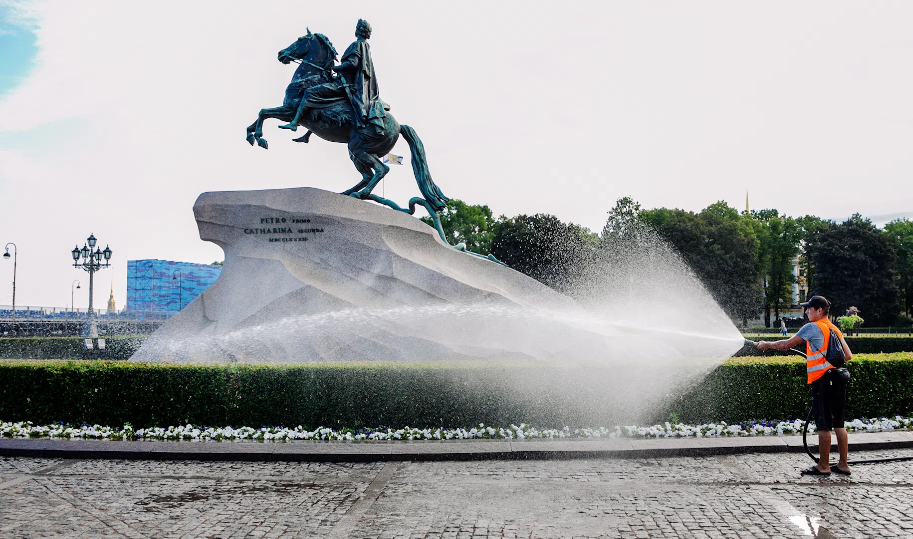 Зеленые насаждения петербурга