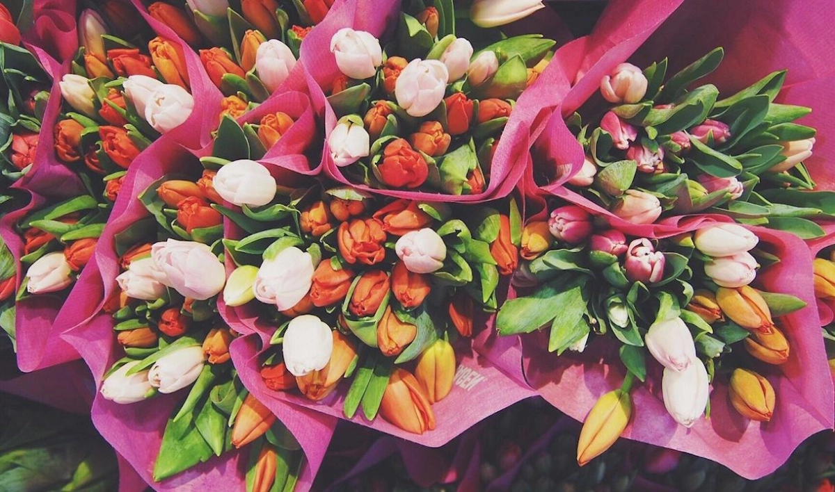 Трое романтиков избили продавца цветочного на Васильевском острове ради букета - tvspb.ru