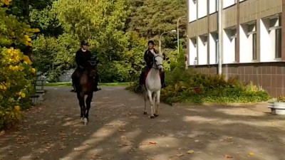 В Калининском районе петербурженки приехали голосовать на лошадях