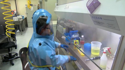 ВОЗ связывает появление COVID-19 с торговлей дикими животными в Китае