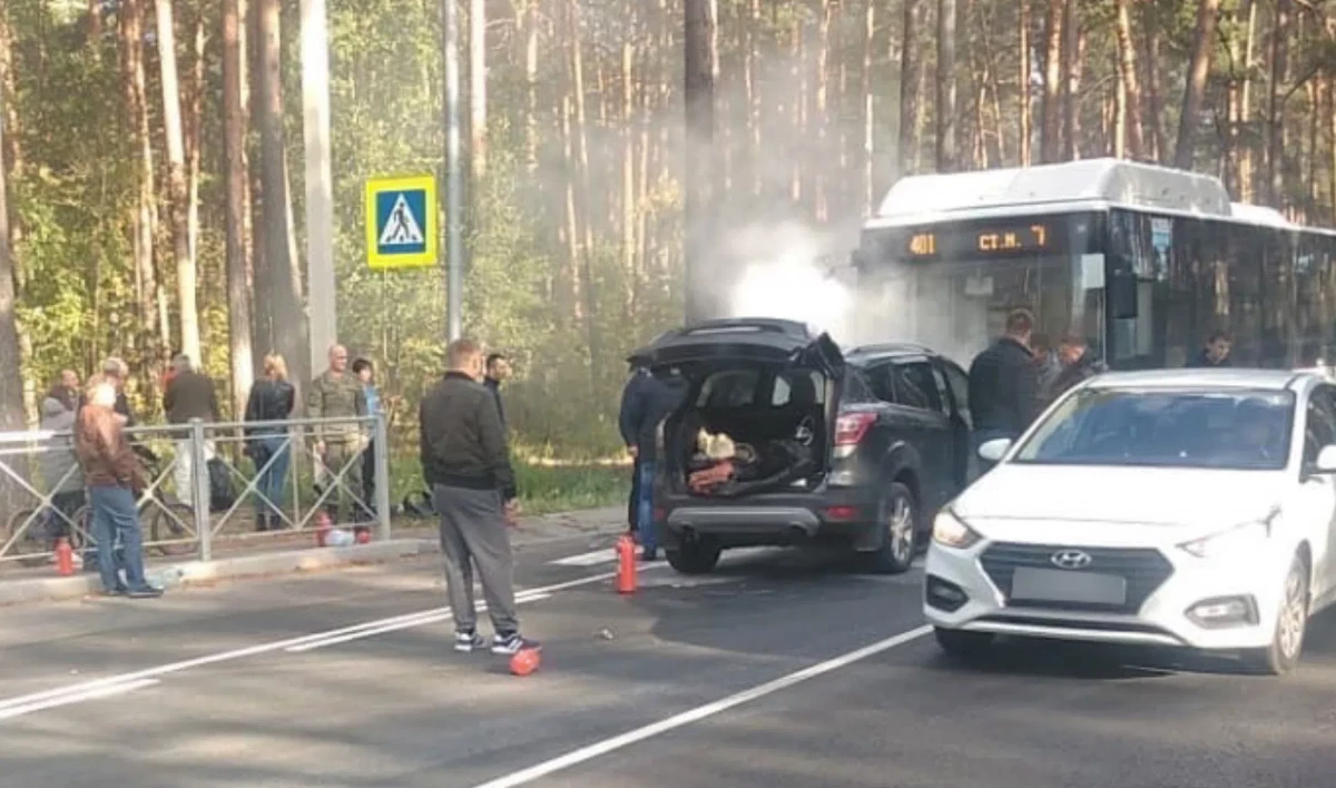Три человека пострадали в ДТП с рейсовым автобусом в Ленобласти - tvspb.ru