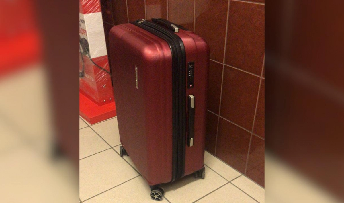 Вор вынес чемодан краденых продуктов из магазина на Пулковском шоссе - tvspb.ru