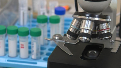 Политех с Институтом общей генетики Вавилова планируют совершить открытие мирового уровня