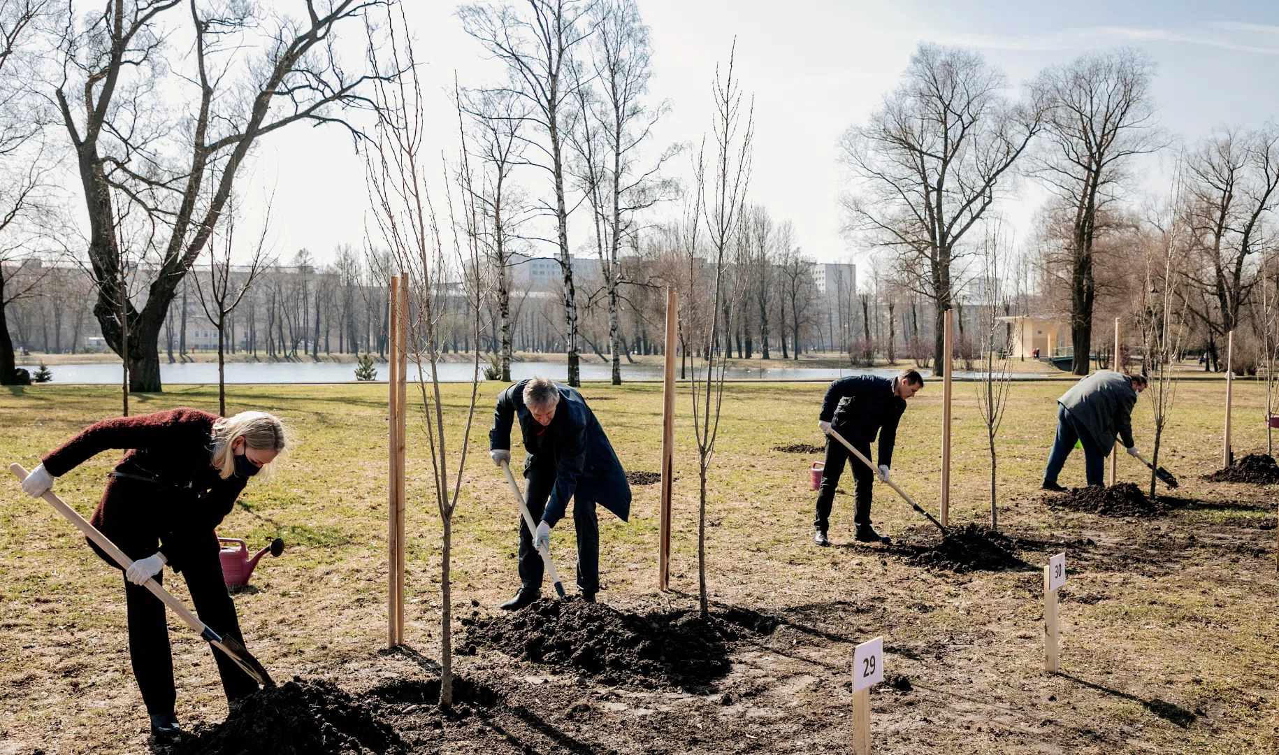 Высадил в парке деревья. Посадка деревьев. Высадка деревьев в парке. Посадка деревьев в парке. Посадка деревьев Озеленение.