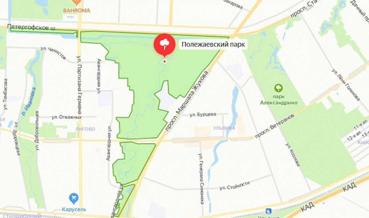 Тело мужчины с ножевыми ранениями груди достали из Дудергофки - tvspb.ru