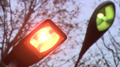 Художники Петербурга и Цюриха обменялись фонарями