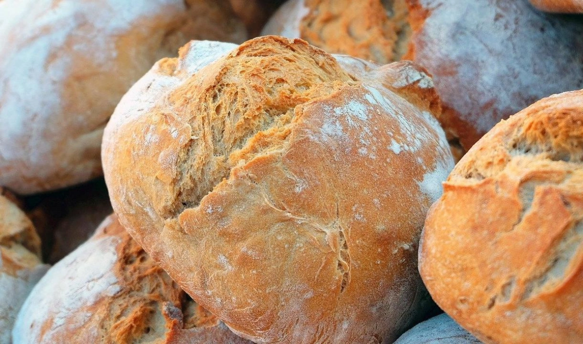 День памяти Дионисия Ареопагита и Всемирный день хлеба. Что отмечают 16 октября - tvspb.ru